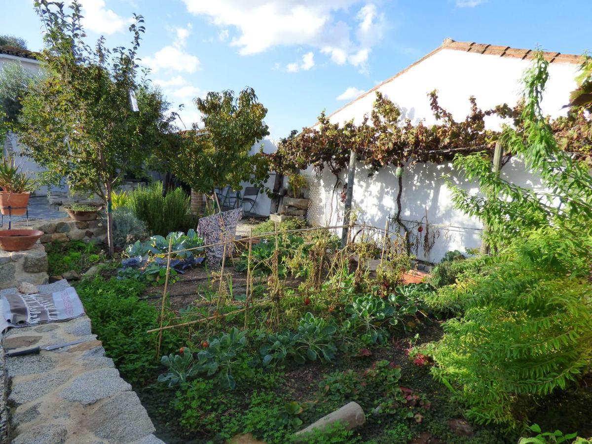 Bed and Breakfast Solar Da Cumeada Регенгуш-де-Монсараш Екстер'єр фото